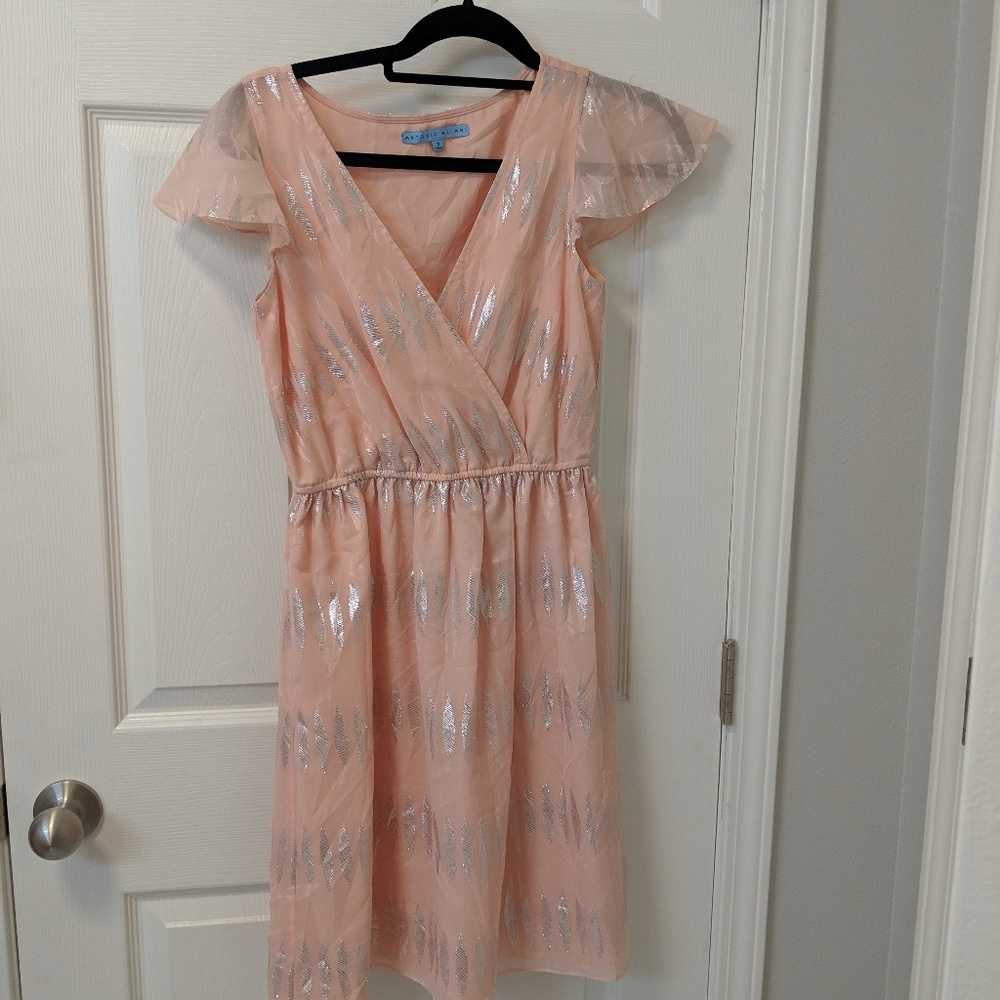 Antonio Melanie spring dress